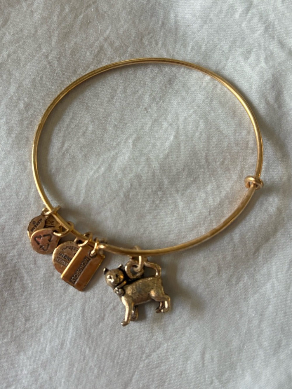 Alex and Ani Gold Cat Charm Bracelet